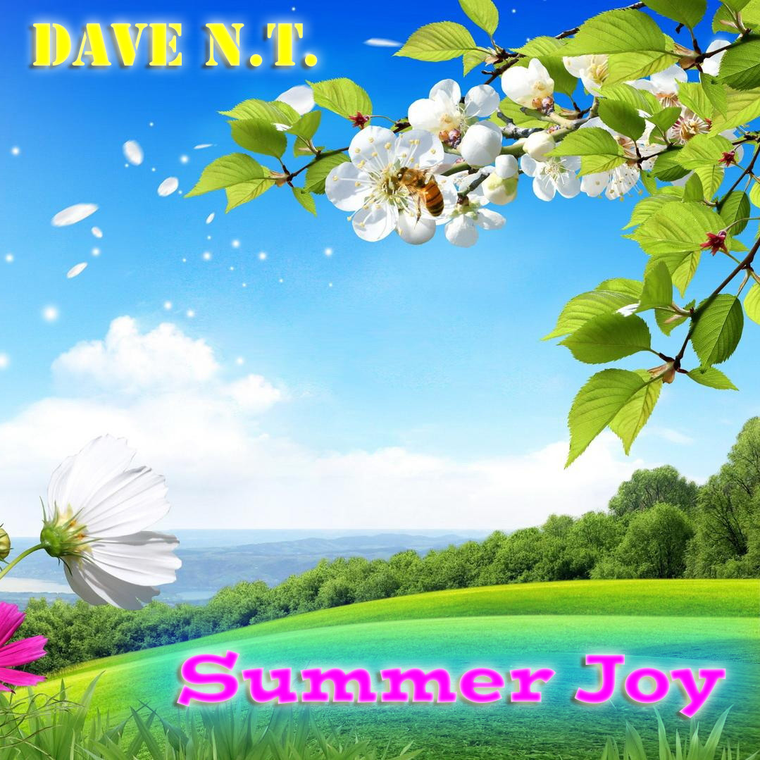 Dave N.T. - Summer Joy