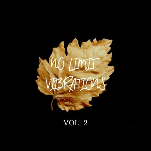 Dj Record - No limit vibrations (Vol. 2)