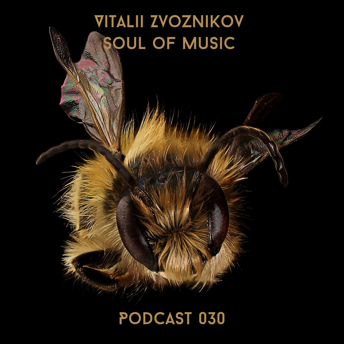 Vitalii Zvoznikov