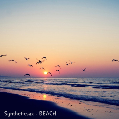 Syntheticsax - Beach (Dj Rostej Remix PART II)