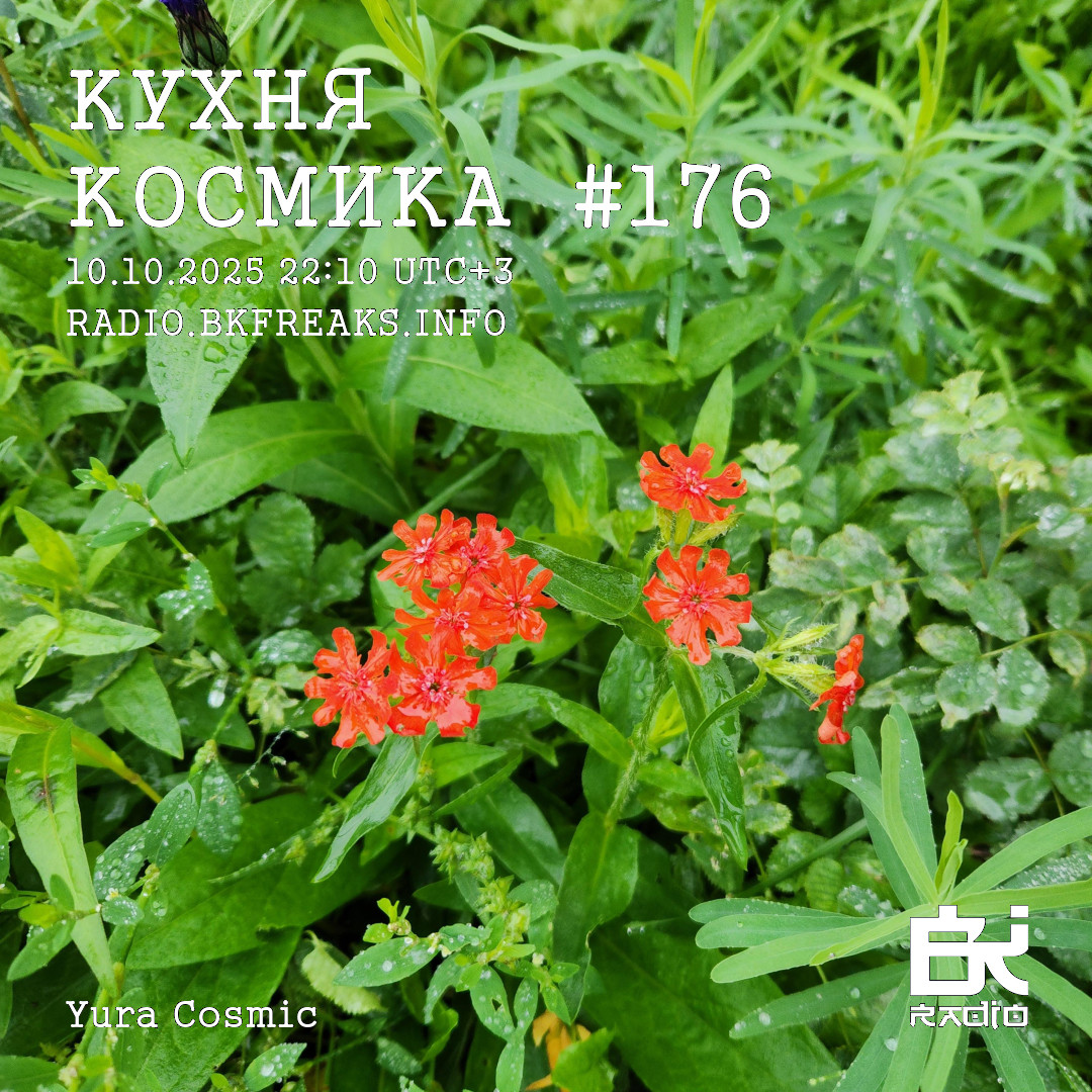 Dj Cosmic - Kukhnya Kosmika 176 mix 10.10.2025