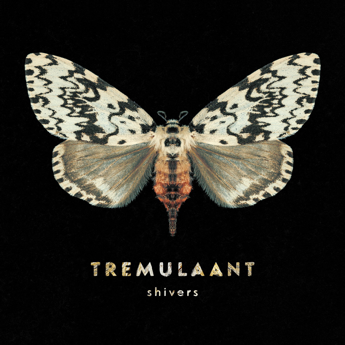 Tremulaant - Enemy episode artwork