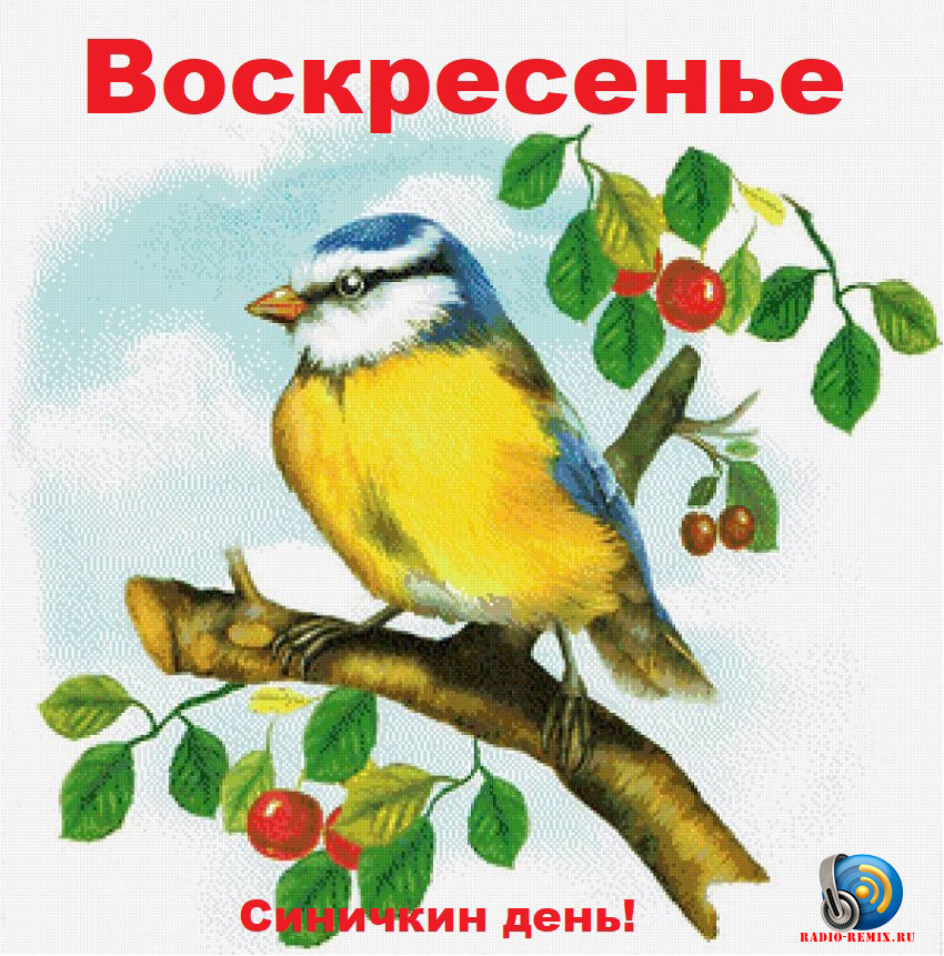 Календарь синичкина. Виталий,Бианки.Синичкин. Виталий Бианки Синичкин календарь. Синичкин календарь Виталий Бианки книга. Виталий Бианки - Синичкин календарь: сказка.