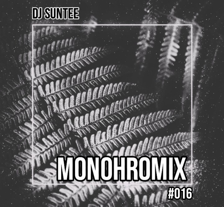 Dj Suntee - MonohroMix 016