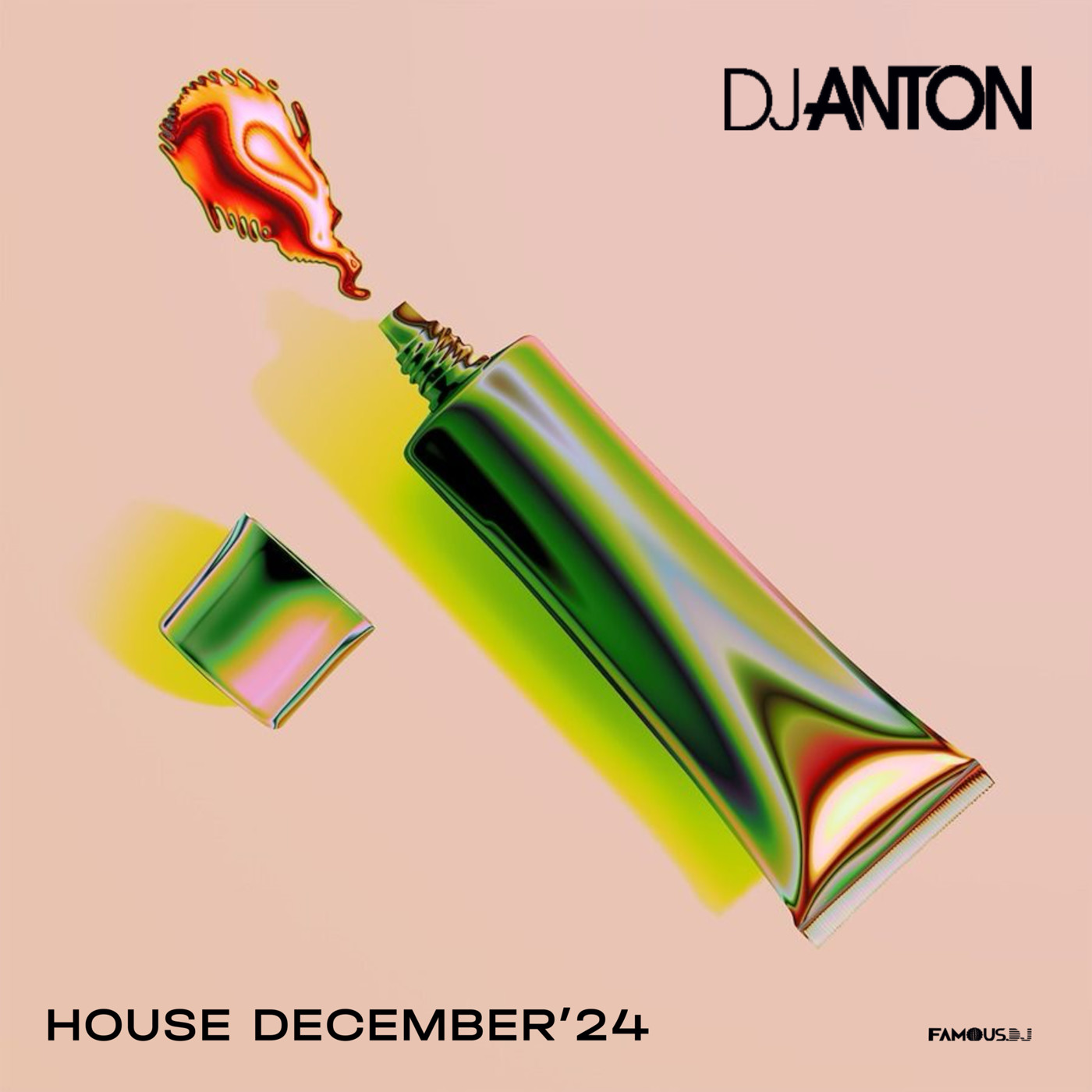 DJ ANTON - DECEMBER 2024 (HOUSE)