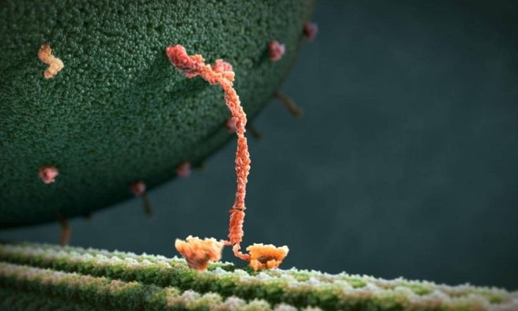 Deep glitch Deep glitch