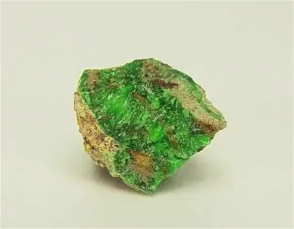 Общество мертвых поэтов - Радий Общество мертвых поэтов - Радий