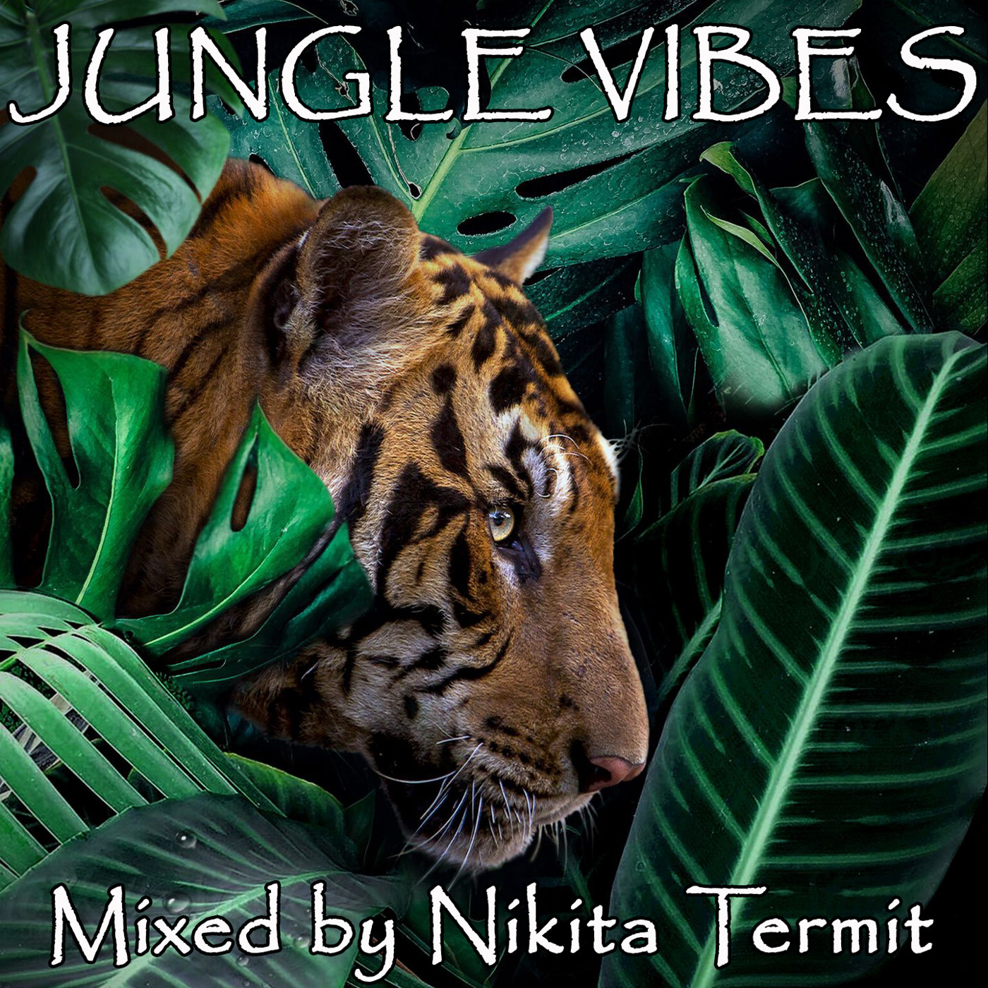 Mixes: Jungle