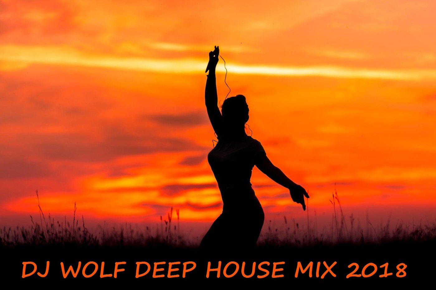 DJ WOLF ( DEEP HOUSE 2018 ) MIX - 10 episode artwork