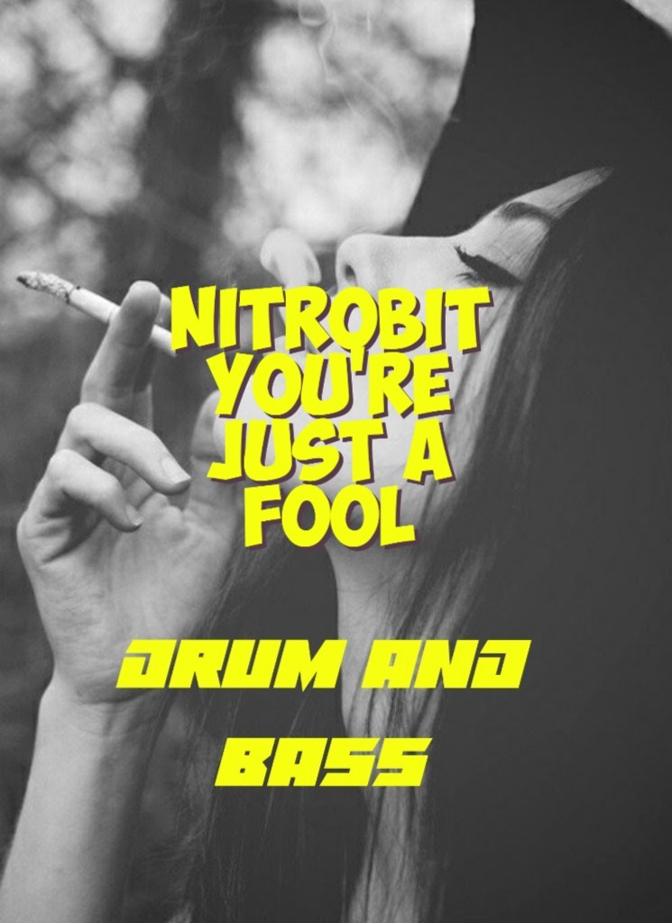 Nitrobit - You're just a fool