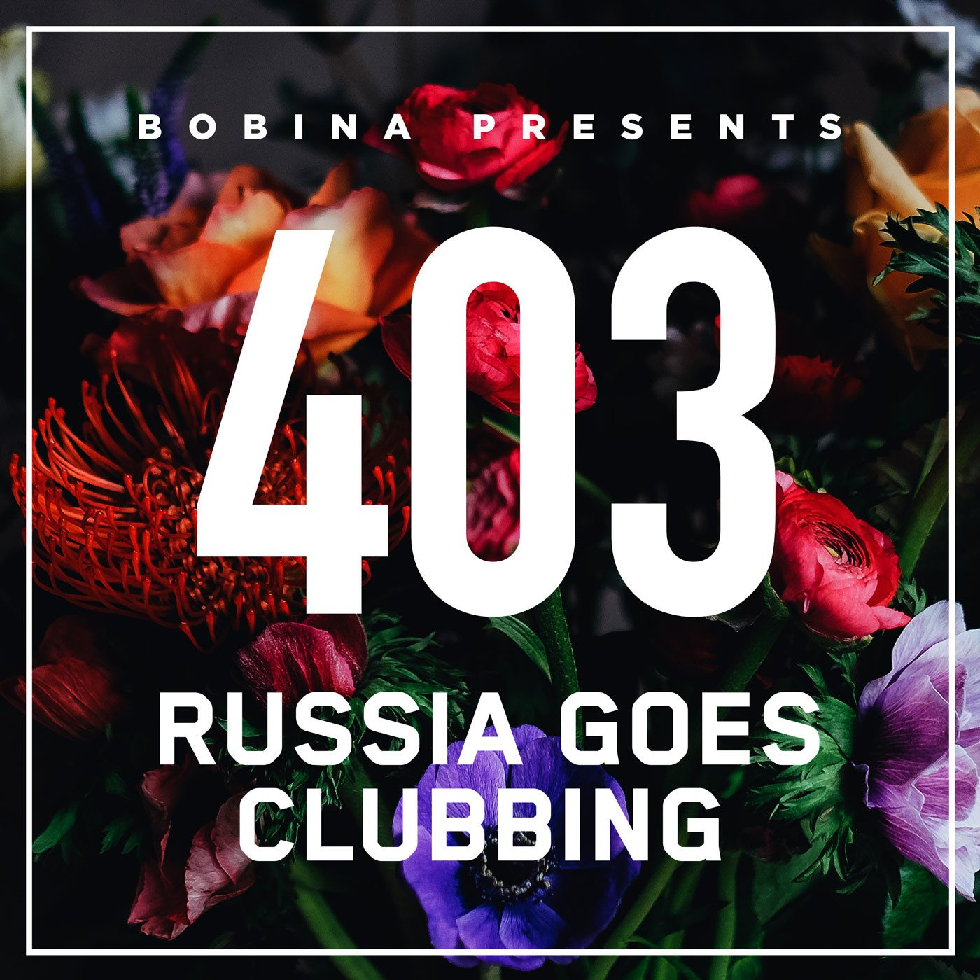 Nr. 403 Russia Goes Clubbing (Rus)