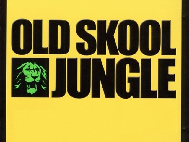 Oldschool jungle. Dnb selecta. Oldschool jungle. Олдскул джангл. Ragga jungle music.