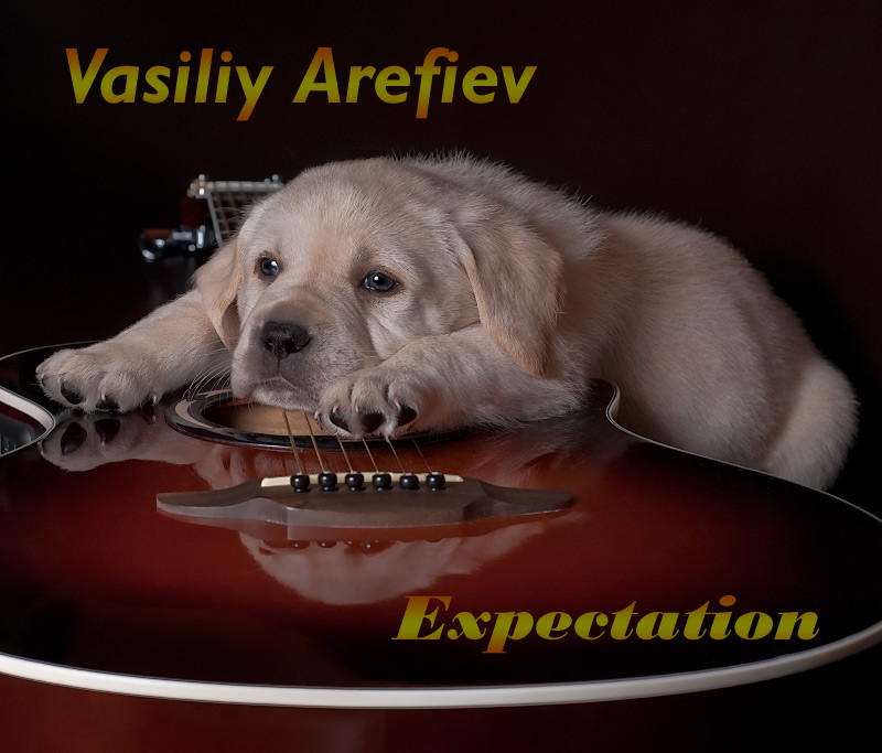 Vasiliy Arefiev