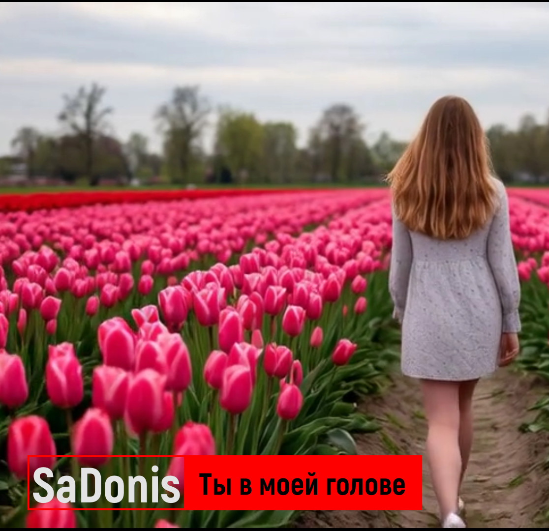 SaDonis-Ты в моей голове