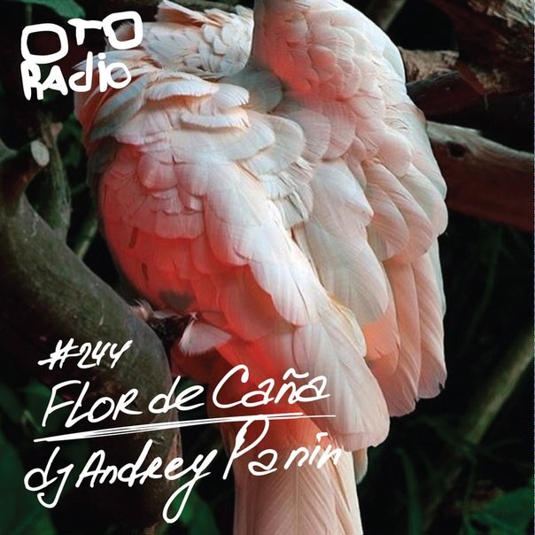 dj Andrey Panin - OTO 3, Flor de Cana (2016) #3 episode artwork