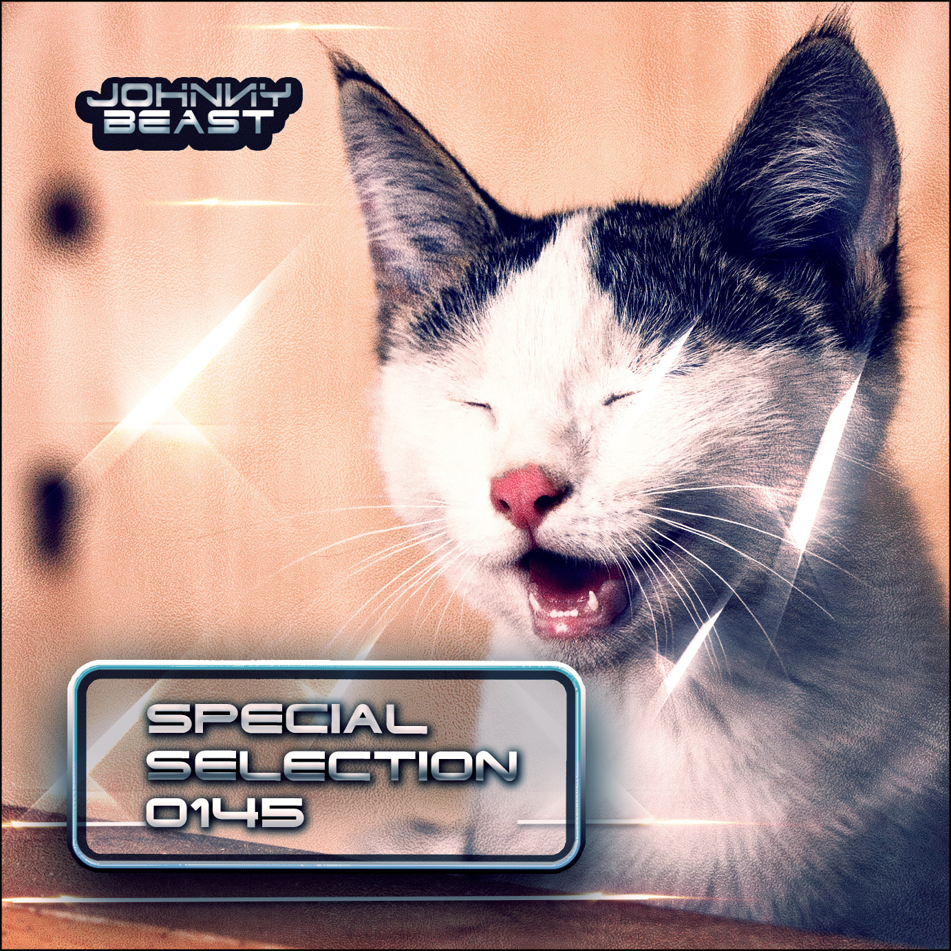 Special Selection Podcasts