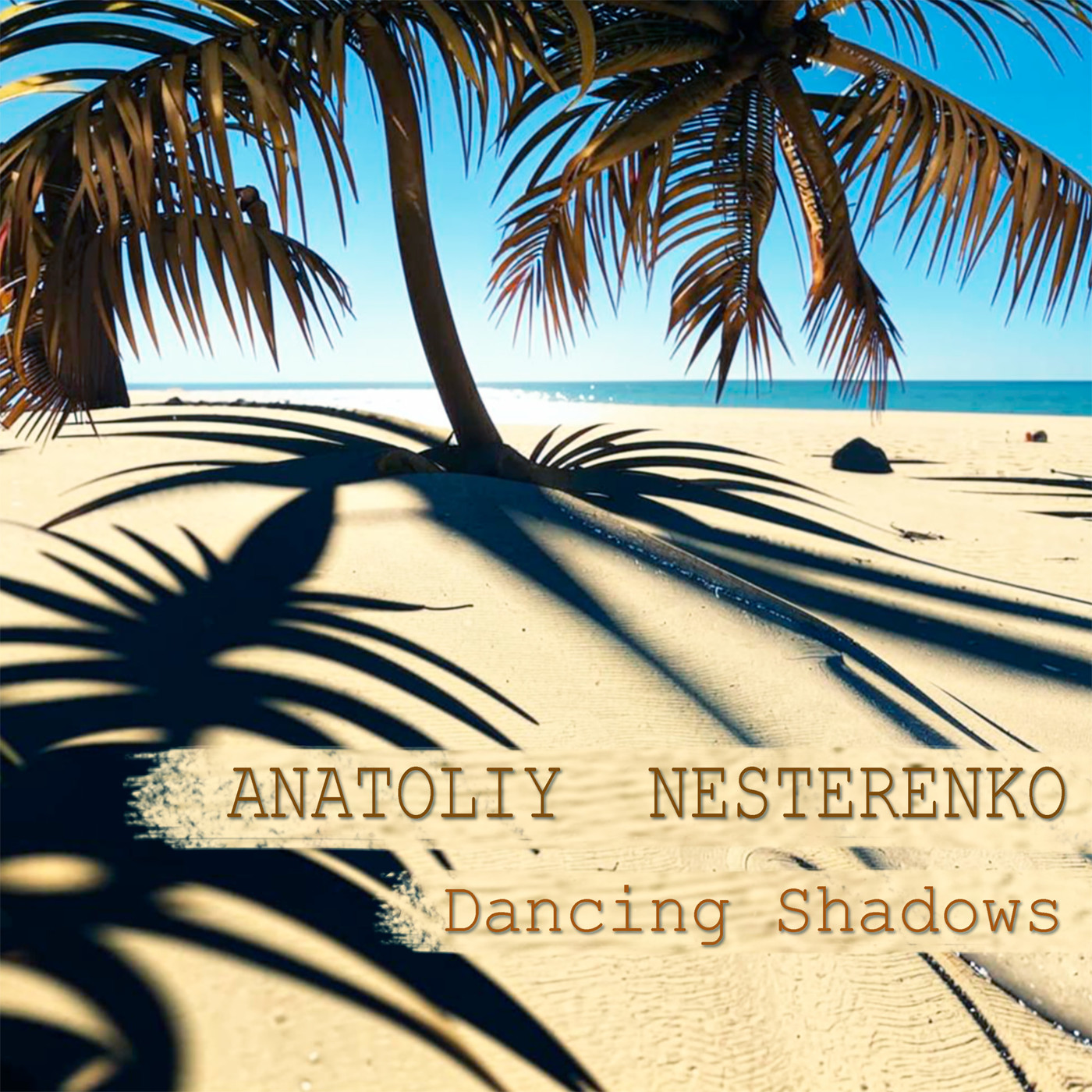 Anatoliy Nesterenko