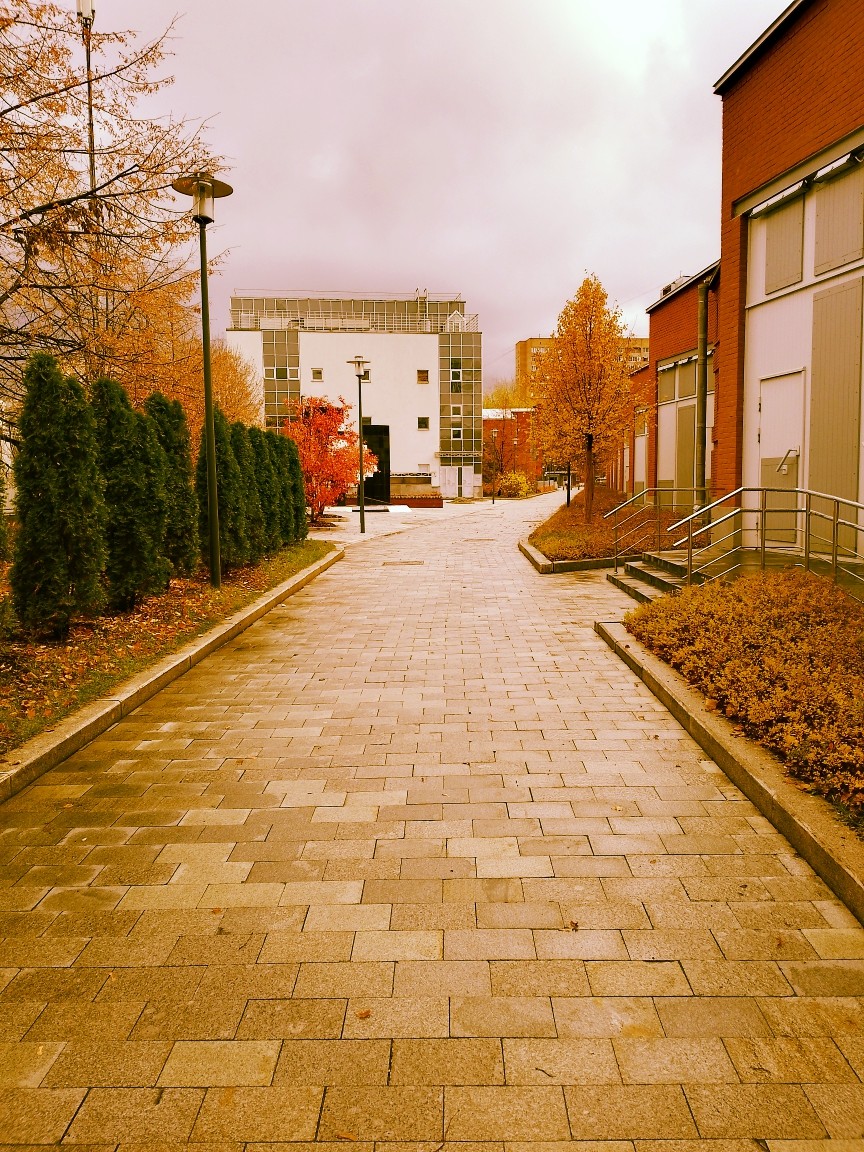 Djkocha- Cybernetic (Original Mix)2025