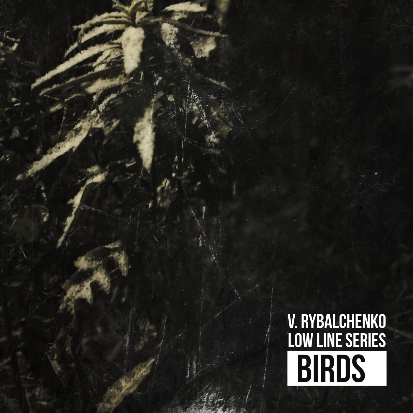 V. Rybalchenko - Birds