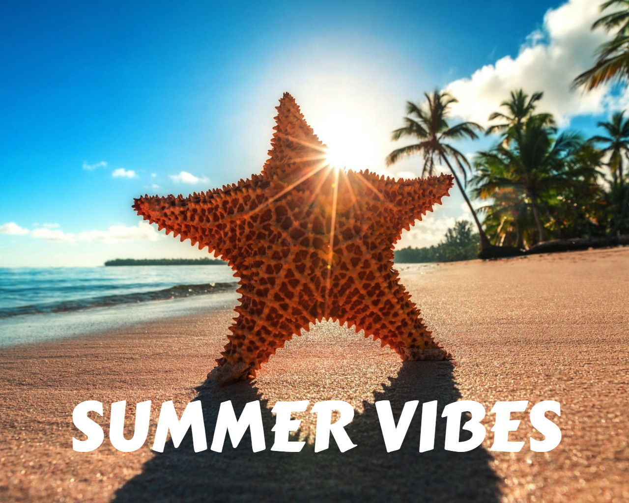 AR - SUMMER VIBES #2