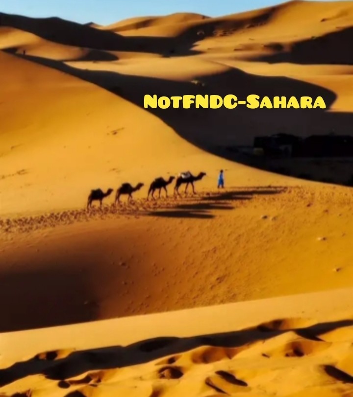 NoTFNdc-Sahara episode artwork