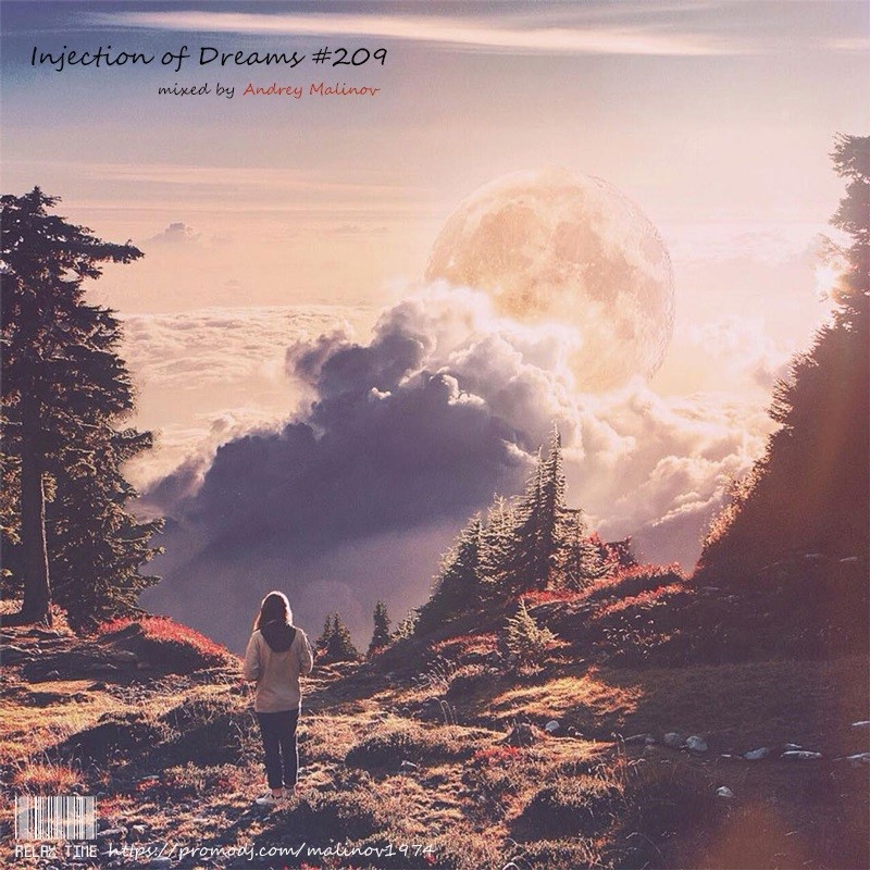Andrey Malinov - Injection of Dreams #209