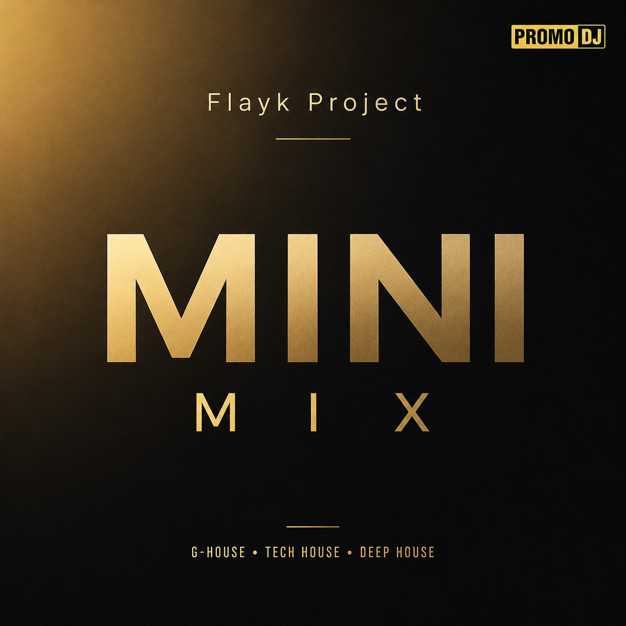 Flayk Project - Mini Mix Vol.1 episode artwork