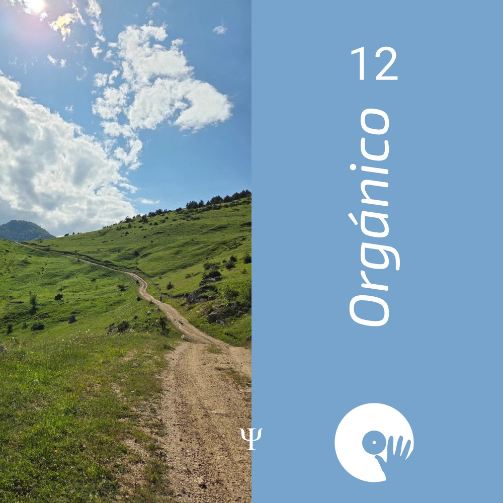 Orgánico 12 (mixed by DizzGO) Orgánico 12 (mixed by DizzGO)