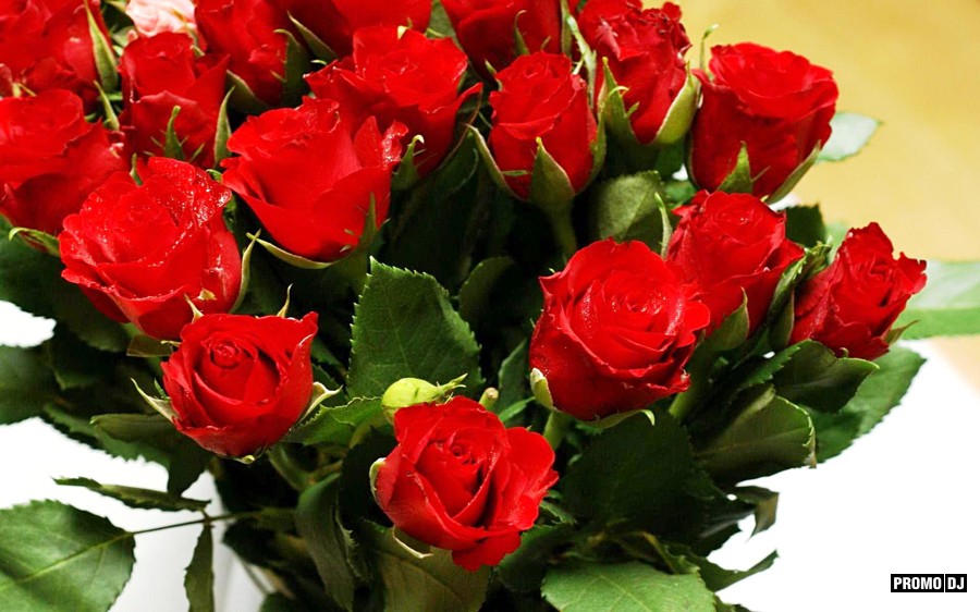 de075b27b4c13b4bff46cf573c609a6a11:resize:900x900:same:promodj:fd9784