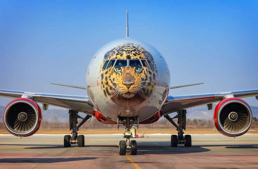 DENNIS VOICE - "TRIP INTO THE ETHNO MELODIC AIRPLANE"