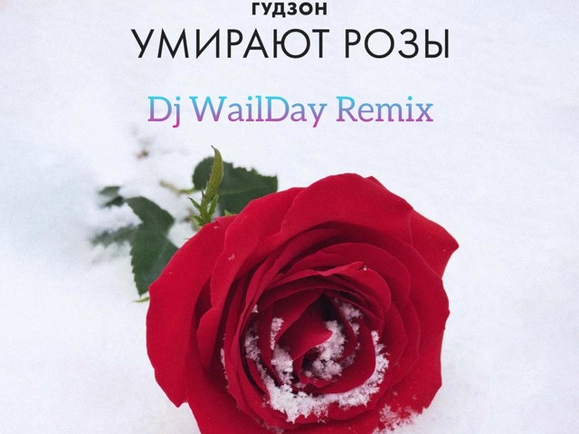 Розы фон. Миллион алых роз караоке со словами. Цветы розы красные. Розы очаровательные. Алые розы ремикс.