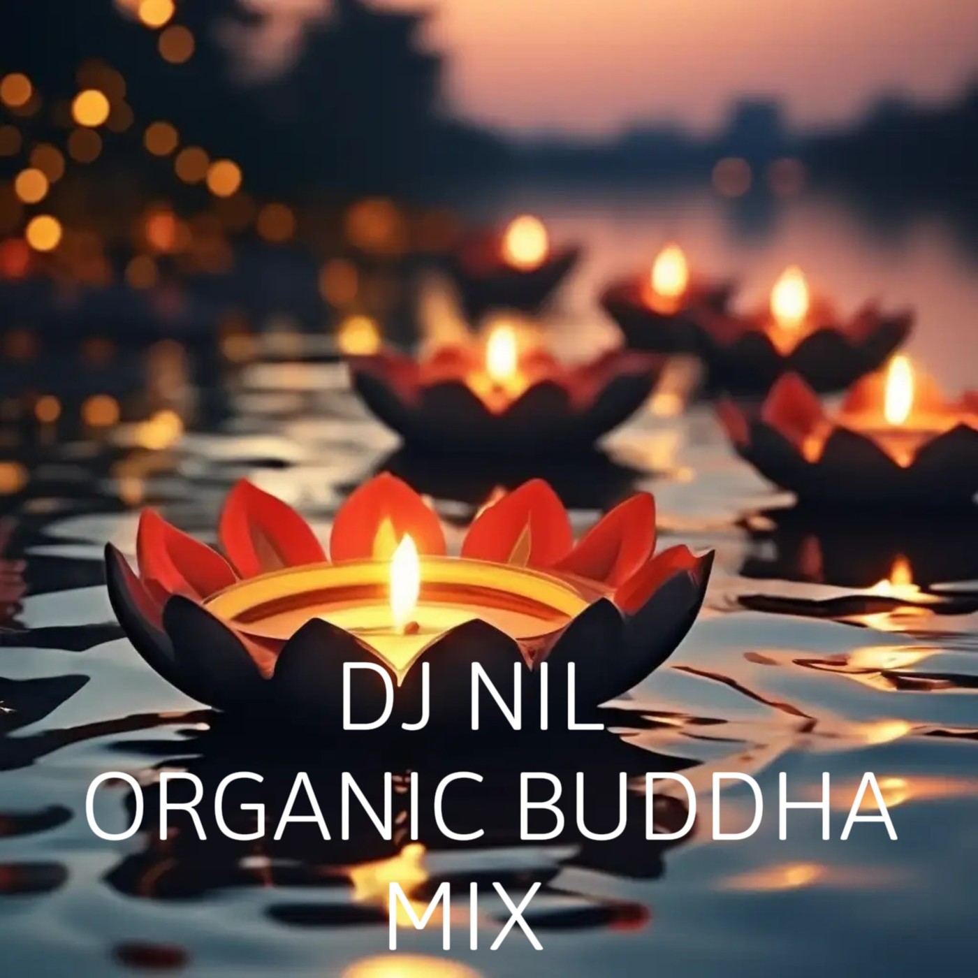 DJ NIL ORGANIC BUDDHA MIX