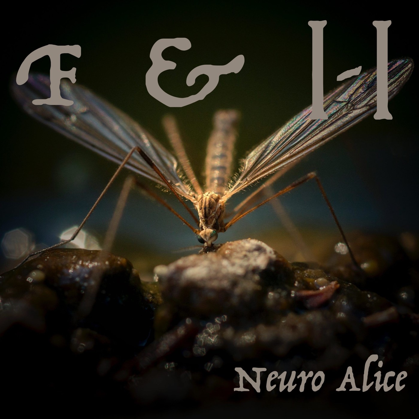 NeuroAlice