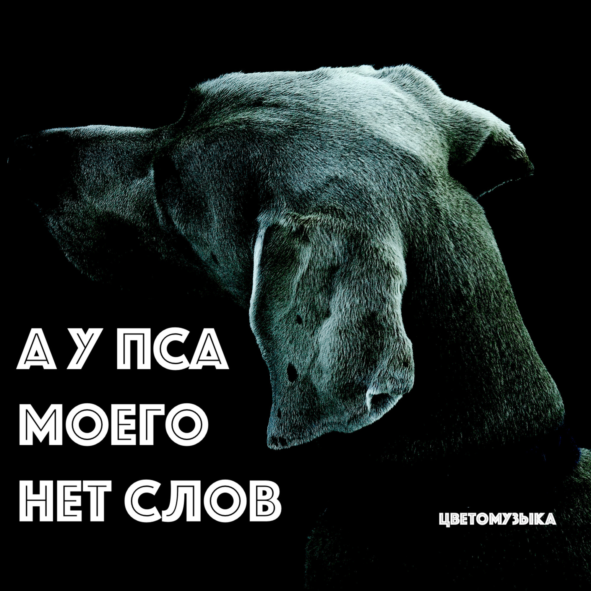 Пес мой не плачет