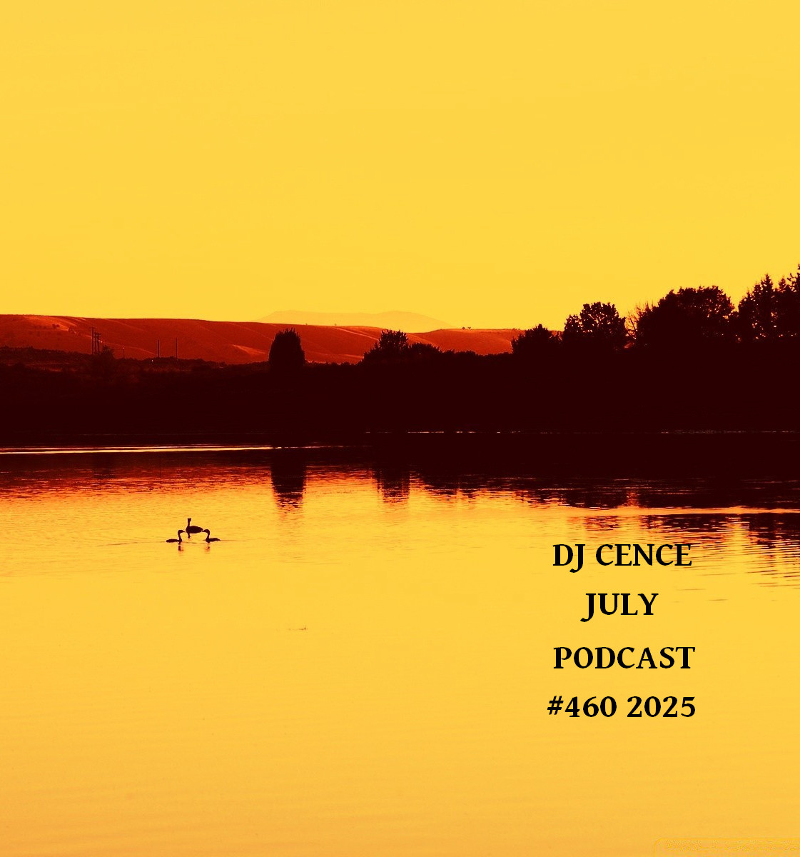 DJ CENCE JULY PODCAST #460 #2025 DJ CENCE JULY PODCAST #460 #2025