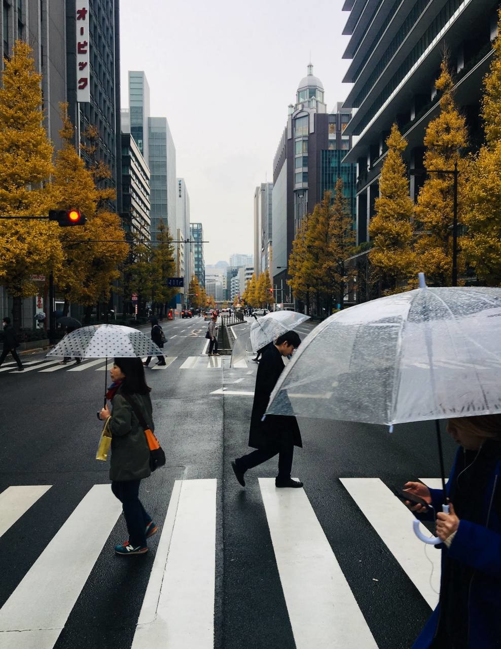 Japan vibes