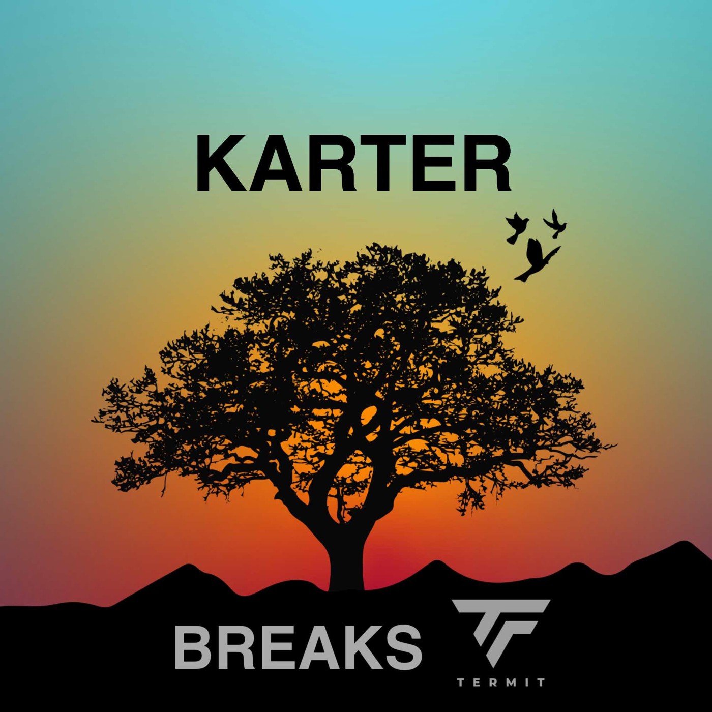 Dj Termit - Karter (Breaks mix)