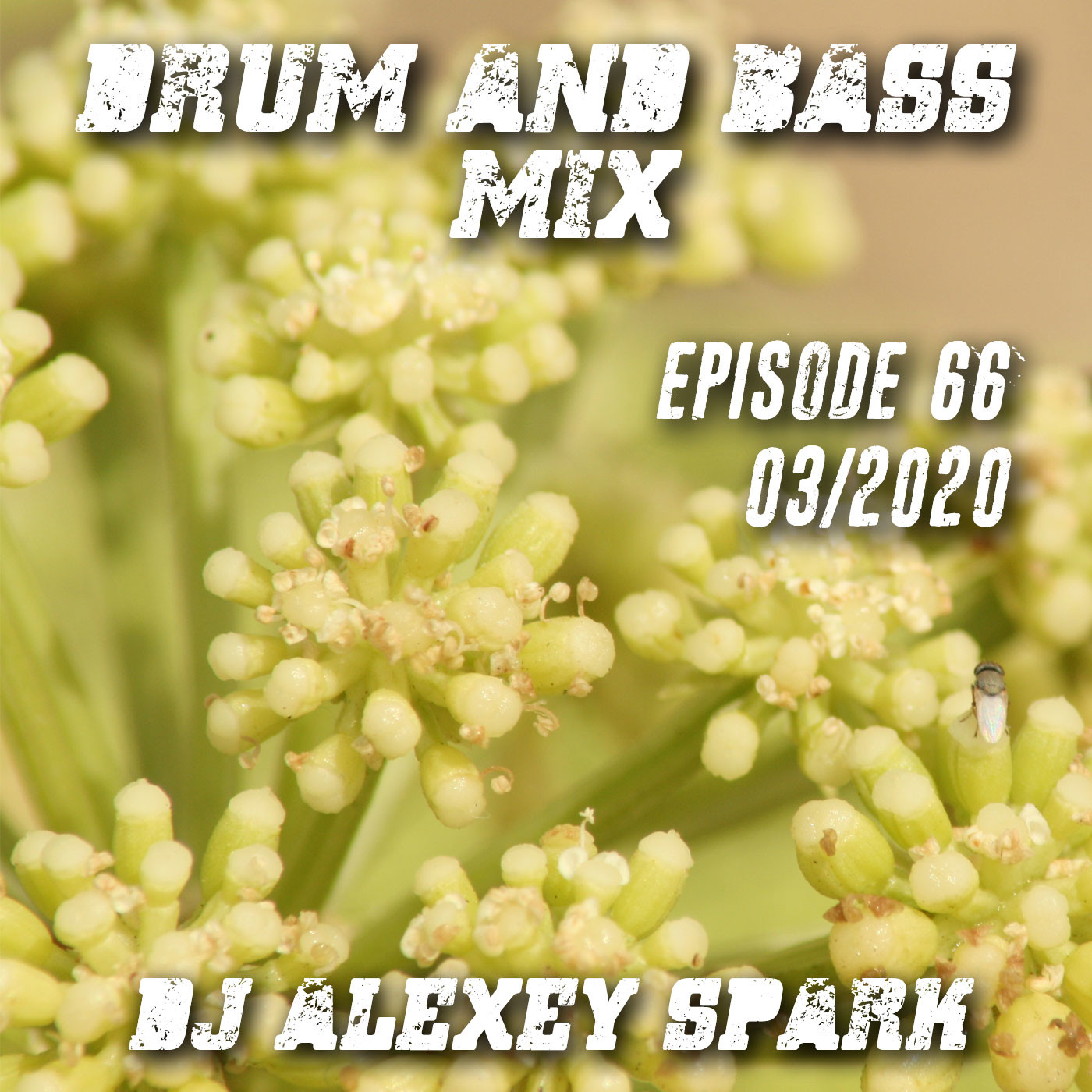 DJ Al:See mixes