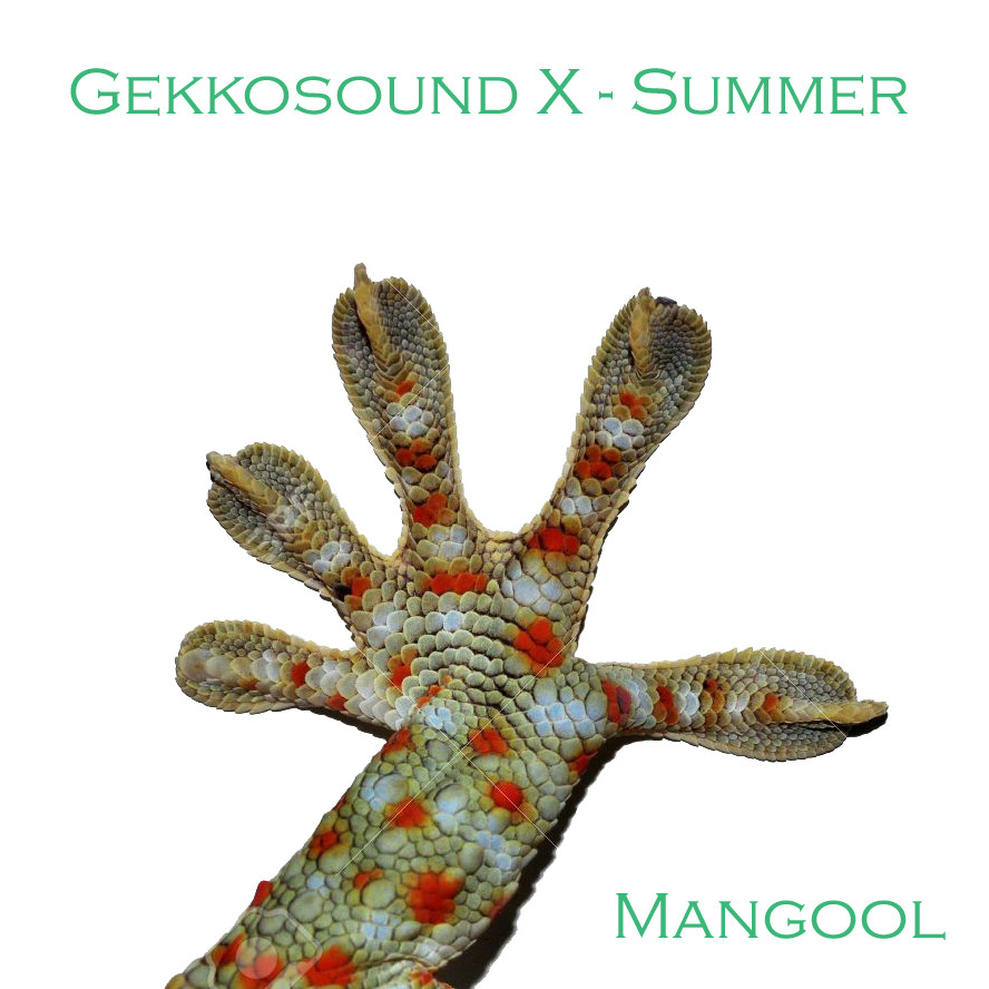 Mangool