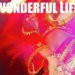 DJ Dmitry Kozlov - Wonderful Life episode artwork