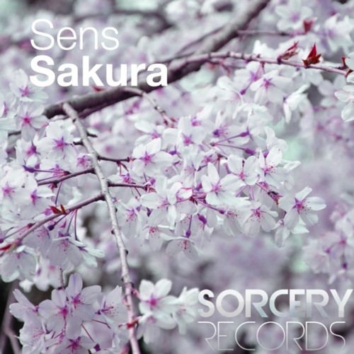 Sens - Sakura (EP) episode artwork