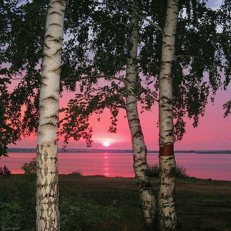 Djkocha-Расбросала Косы(DNB2025) Djkocha-Расбросала Косы(DNB2025)