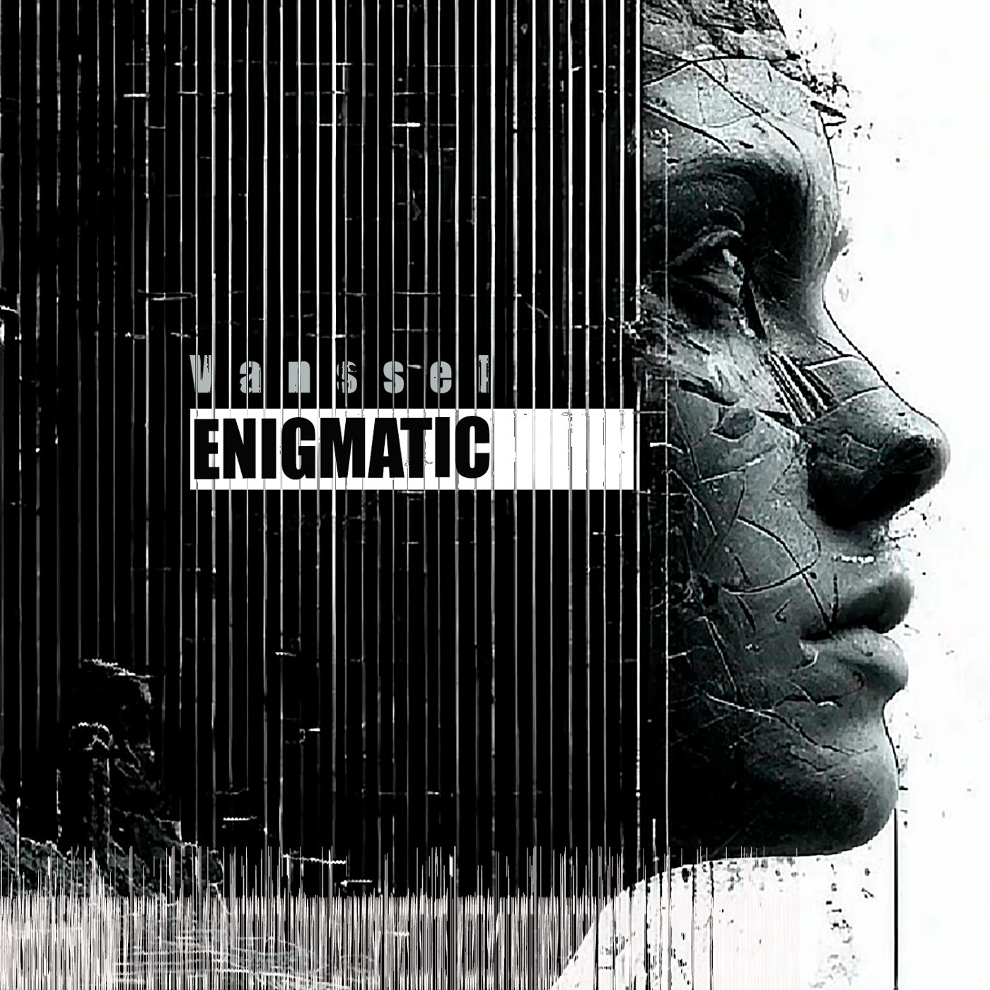 Vanssel-Enigmatic