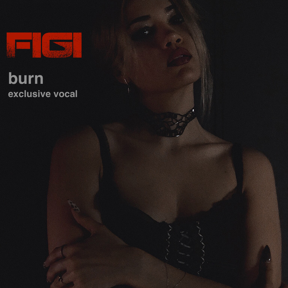 FIGI - Burn