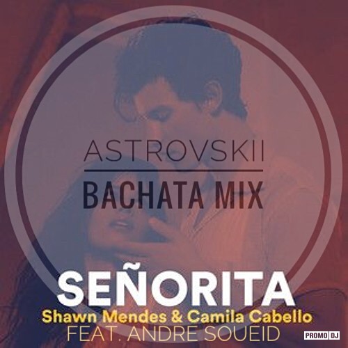 Andre Soueid ft. Shawn Mendes & Camila Cabello - Seorita (AstrovSkii bachata mix)