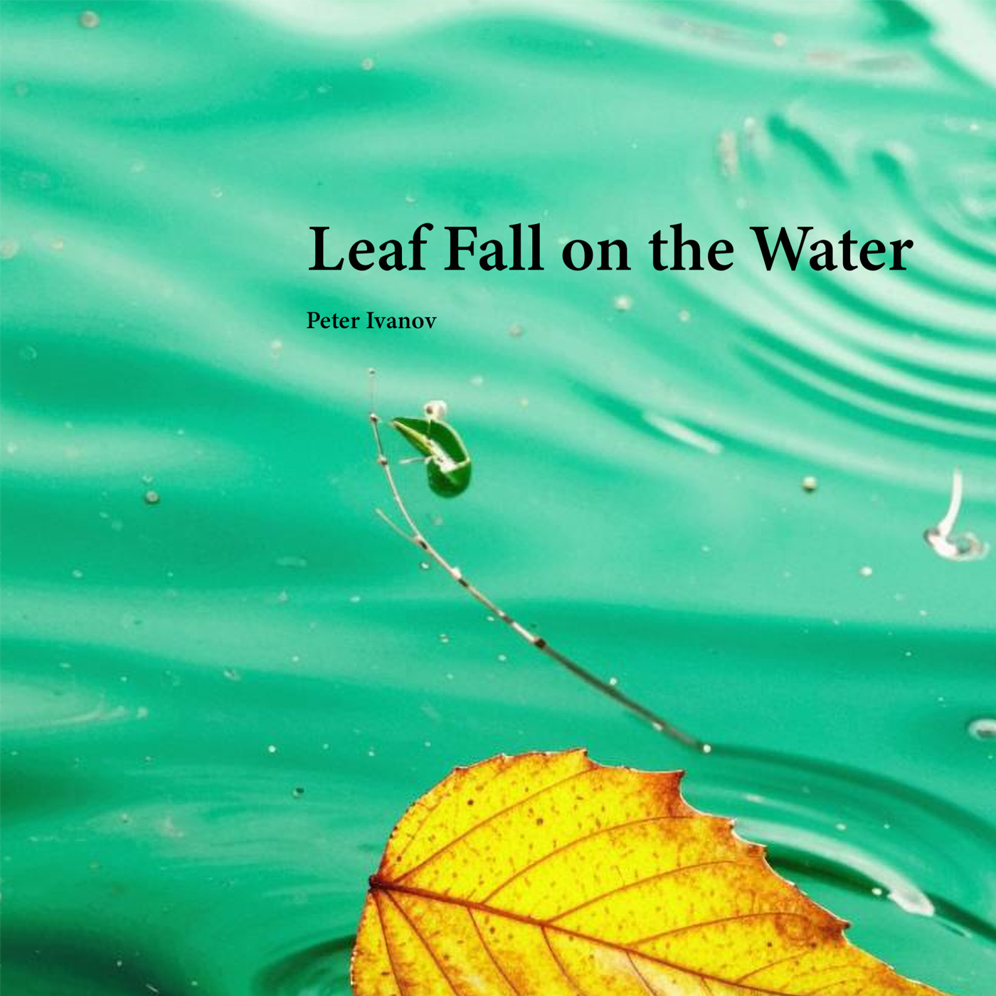 Leaf Fall on the Water