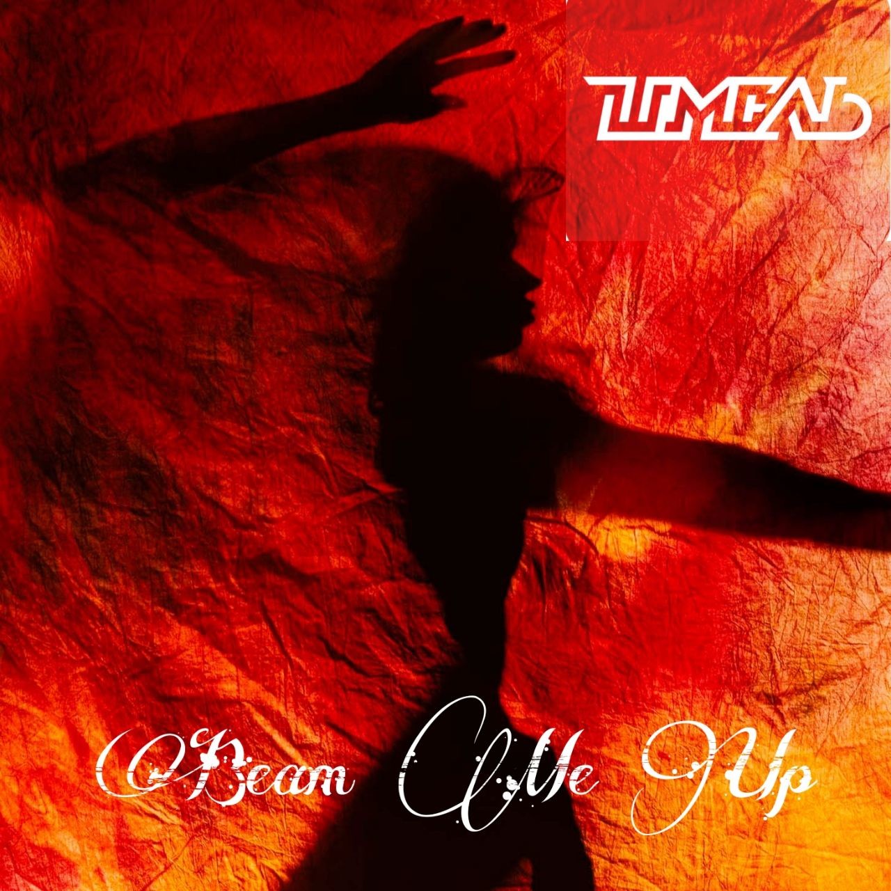 DJ Шмель - Beam Me Up episode artwork