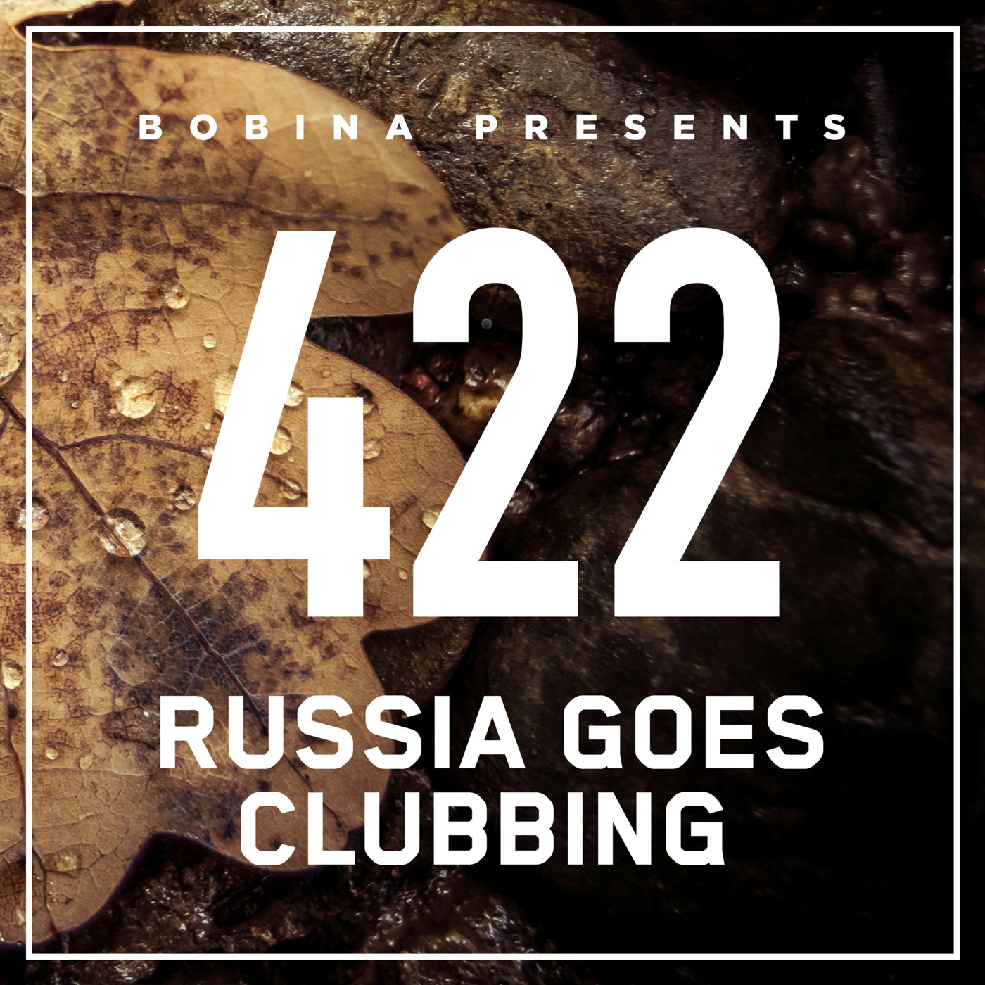 Bobina - Nr. 422 Russia Goes Clubbing (Rus)