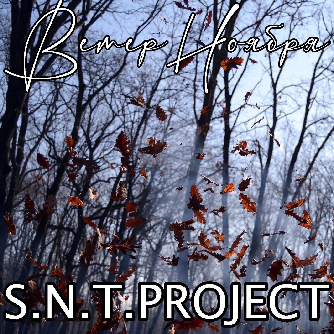 S.N.T.Project - Ветер Ноября S.N.T.Project - Ветер Ноября