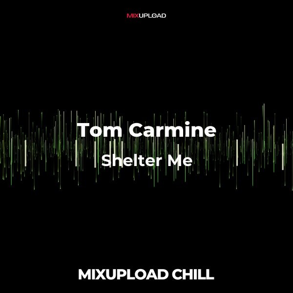 Tom Carmine - Shelter Me (Original mix)